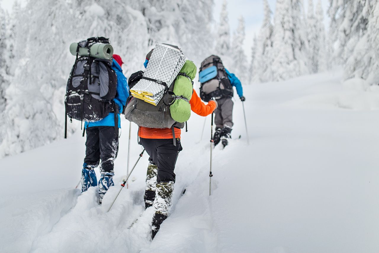 Three backpackers cross-country ski through deep snow