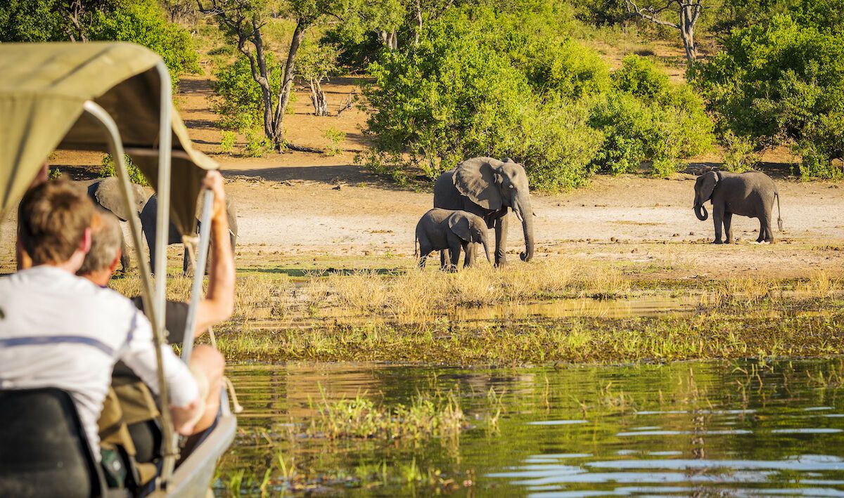 botswana tourism tenders