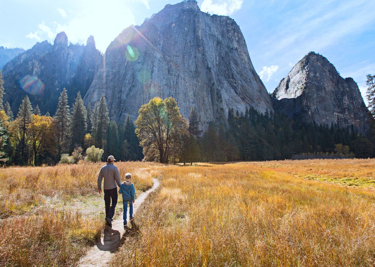 ARE NATIONAL PARKS FREE ON HOLIDAYS visual data 5