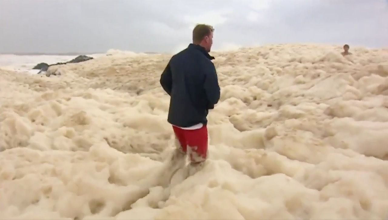 Possibly Snake Infested Sea Foam Washed Up In Australia