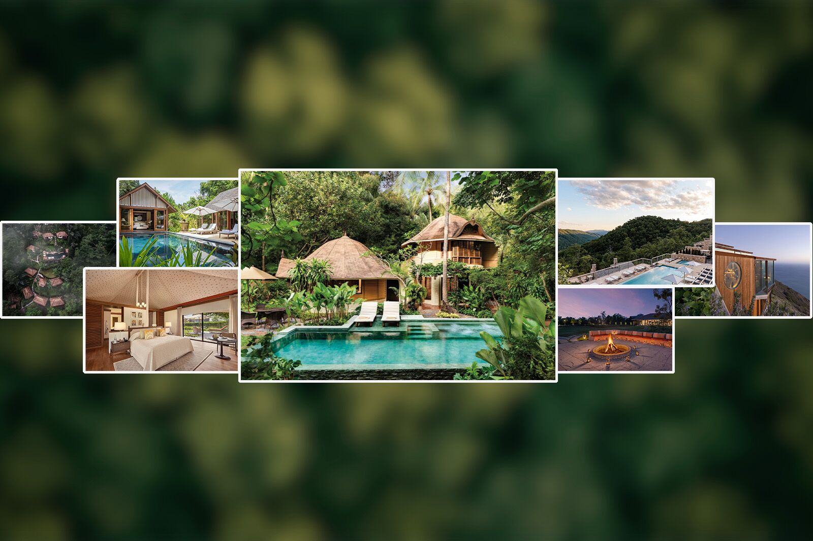 TravelWireDaily — Best forest and jungle hotels