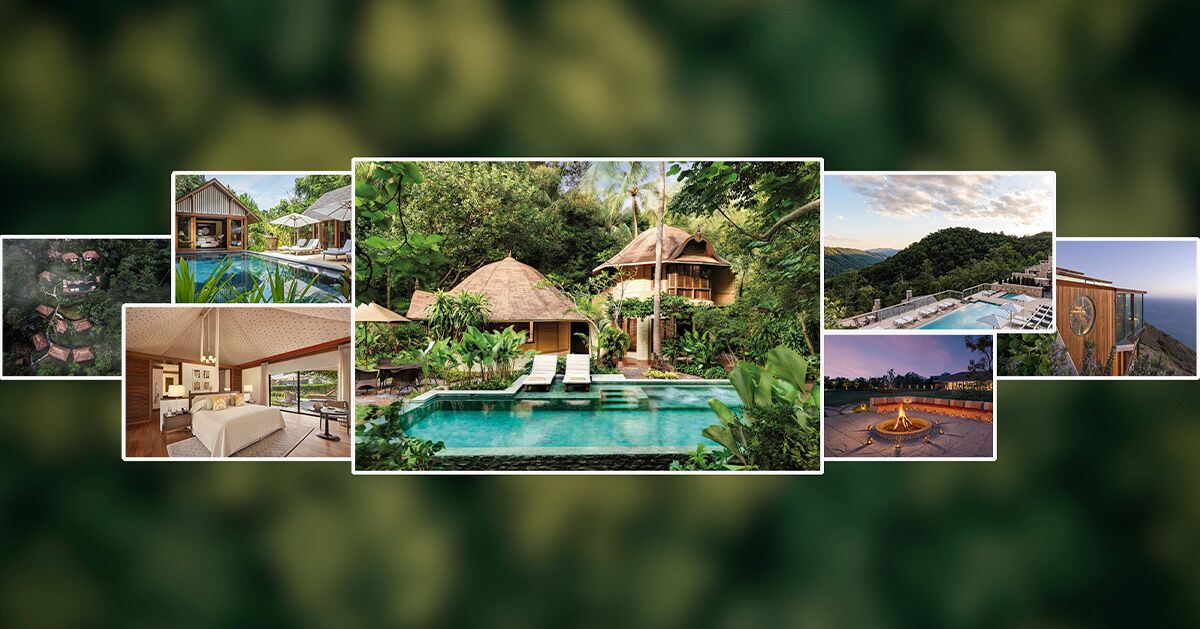 Best forest and jungle hotels