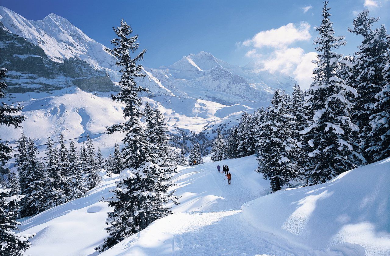 People sledding