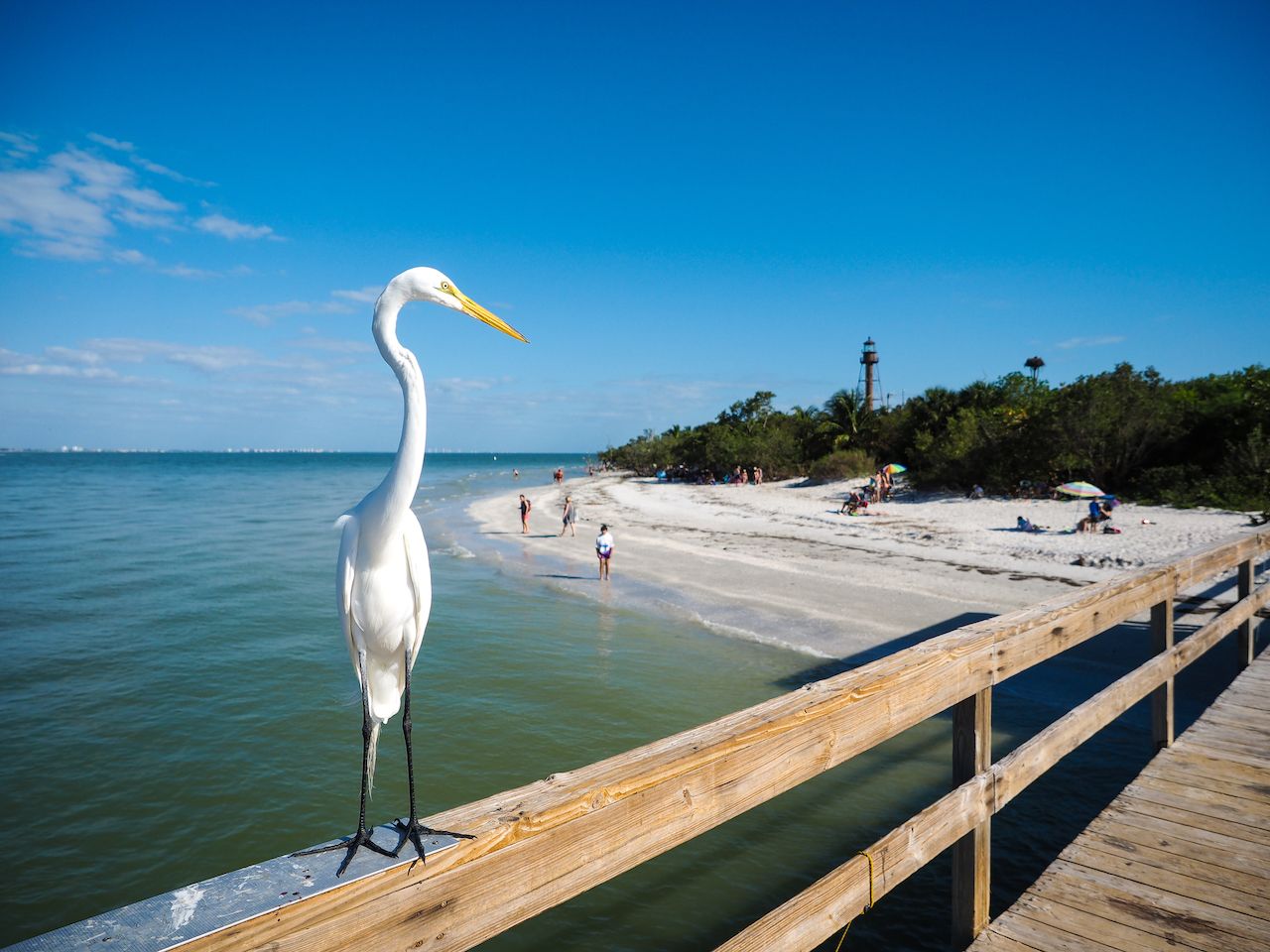 Vacation picnic perfection: 7 takeaway dining options on The Beaches of Fort Myers & Sanibel