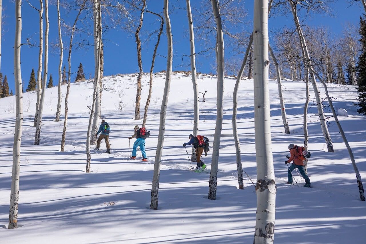 Backcountry skiers in Colorado