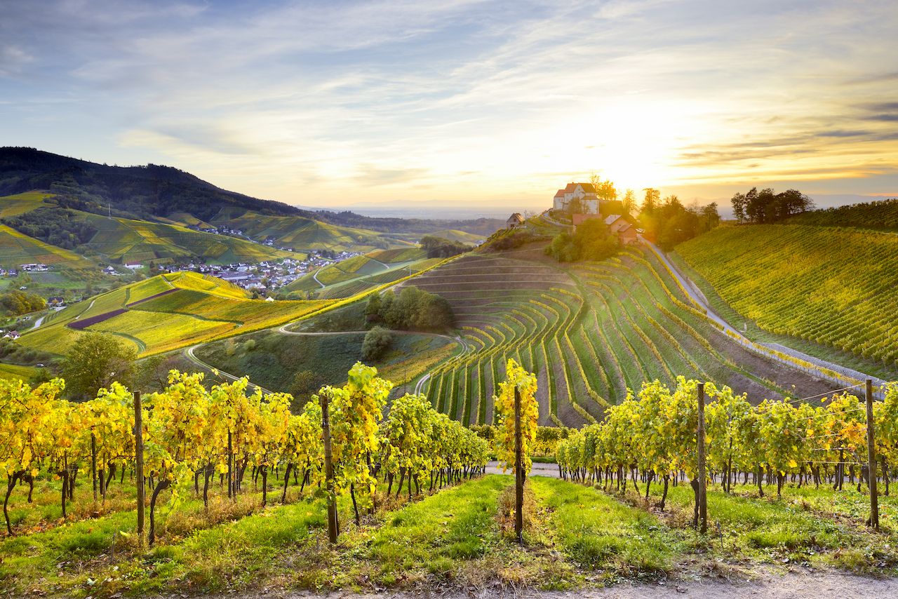5 top wine routes in Germany