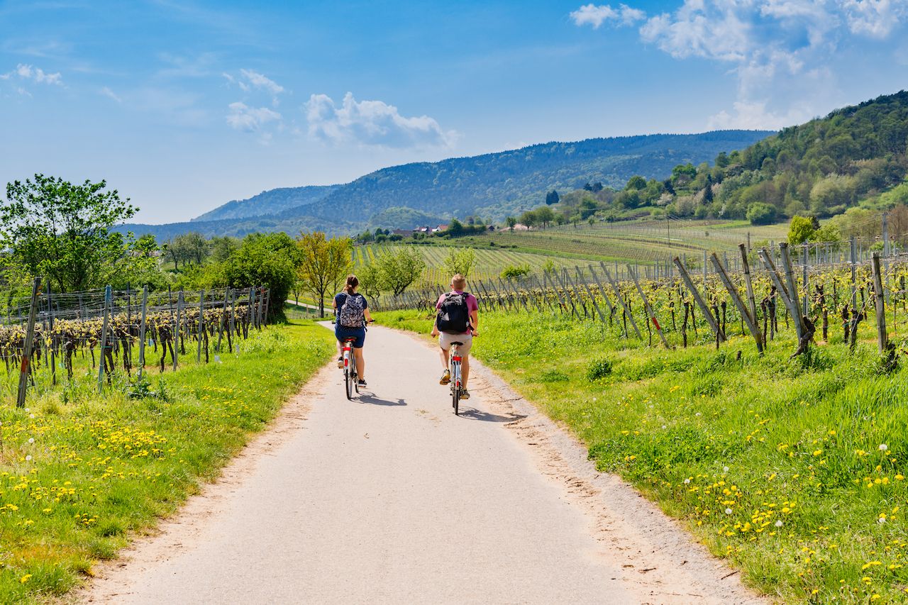 German wine: 5 itineraries for sampling the best the country has to offer