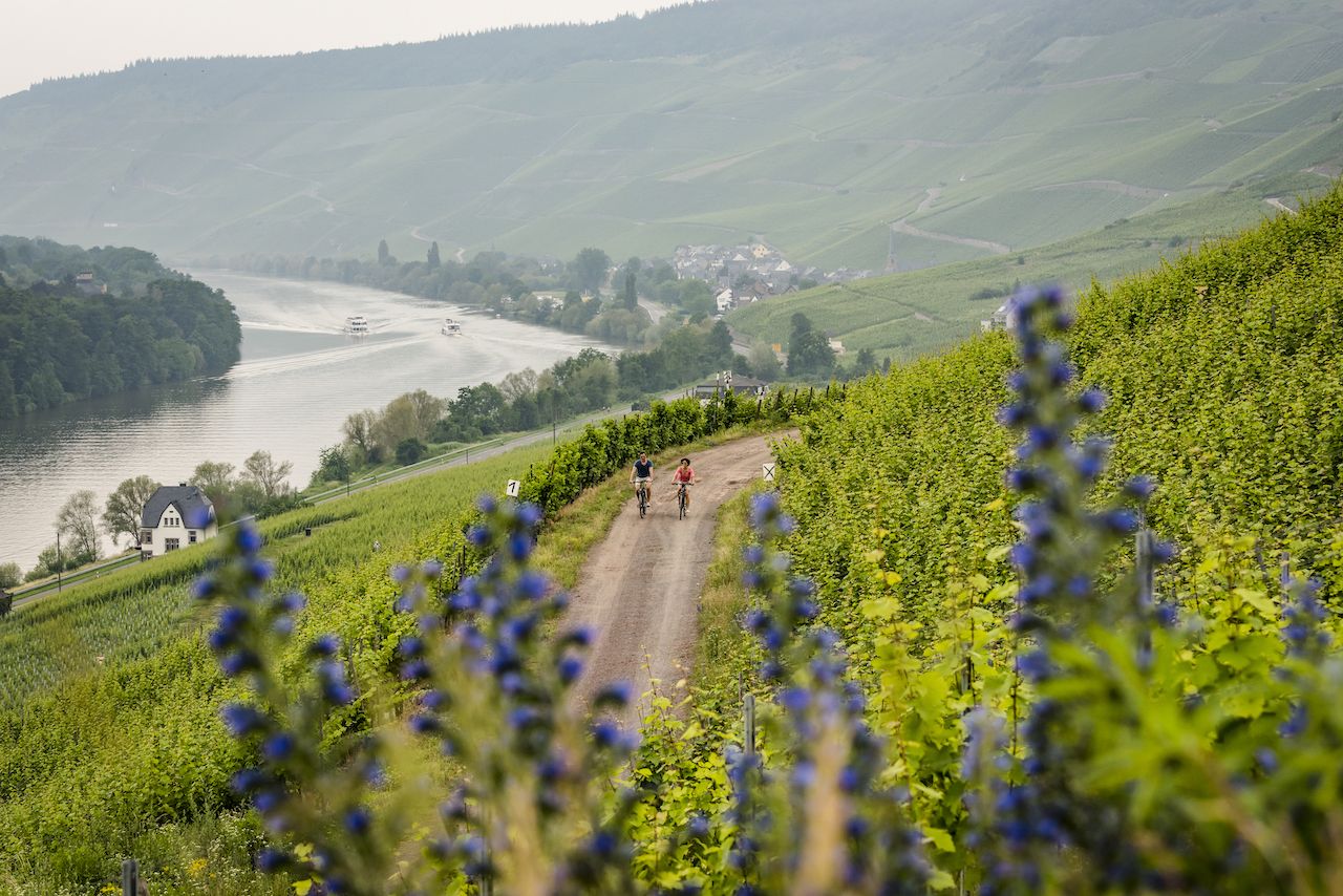 6 of the best cycling routes in Germany