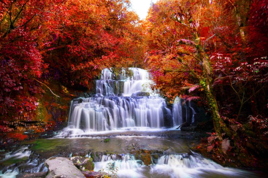 Where To See Fall Foliage in the Southern Hemisphere