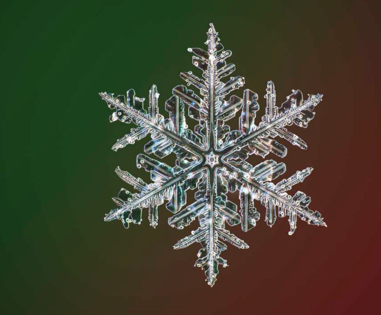 High Resolution Photos Of Snowflakes LaptrinhX News