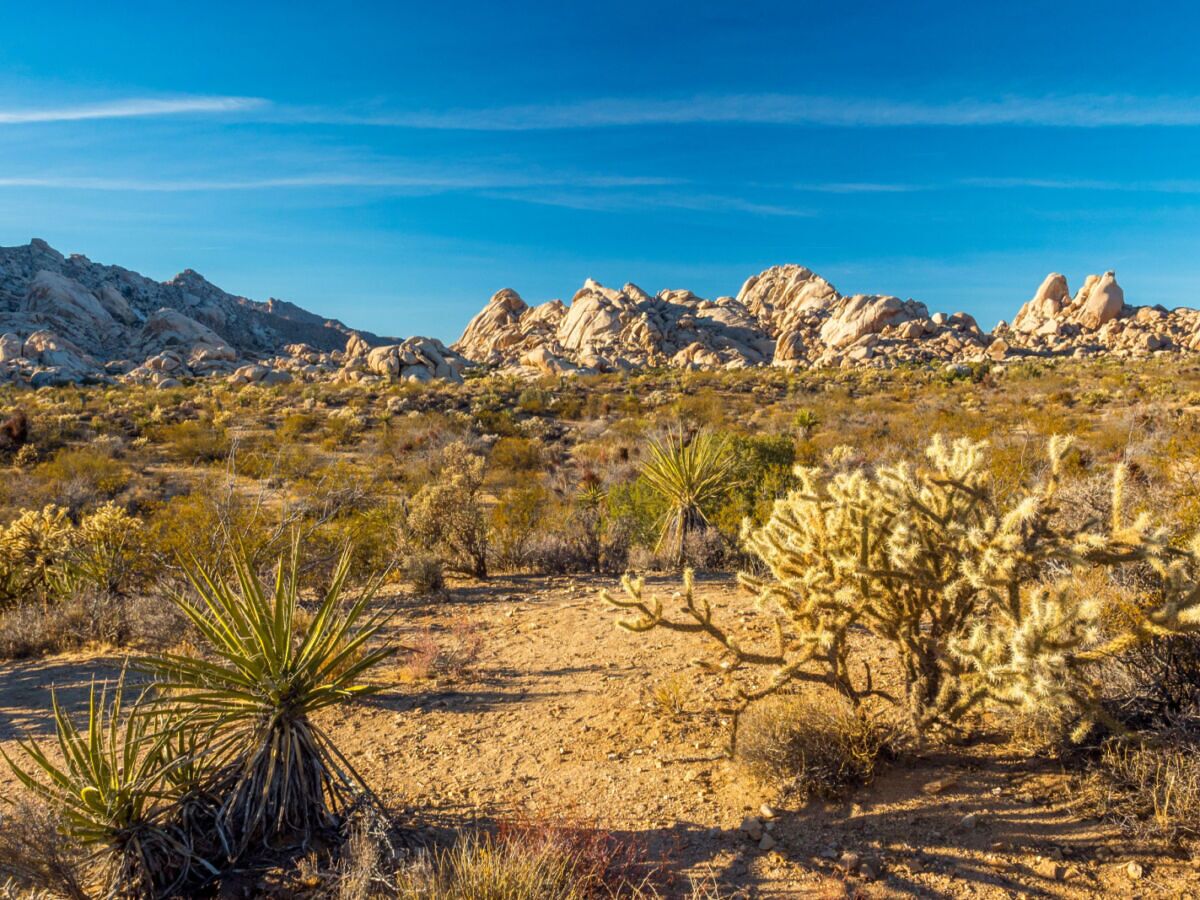 The Best California National Monuments for a Weekend Road Trip From LA