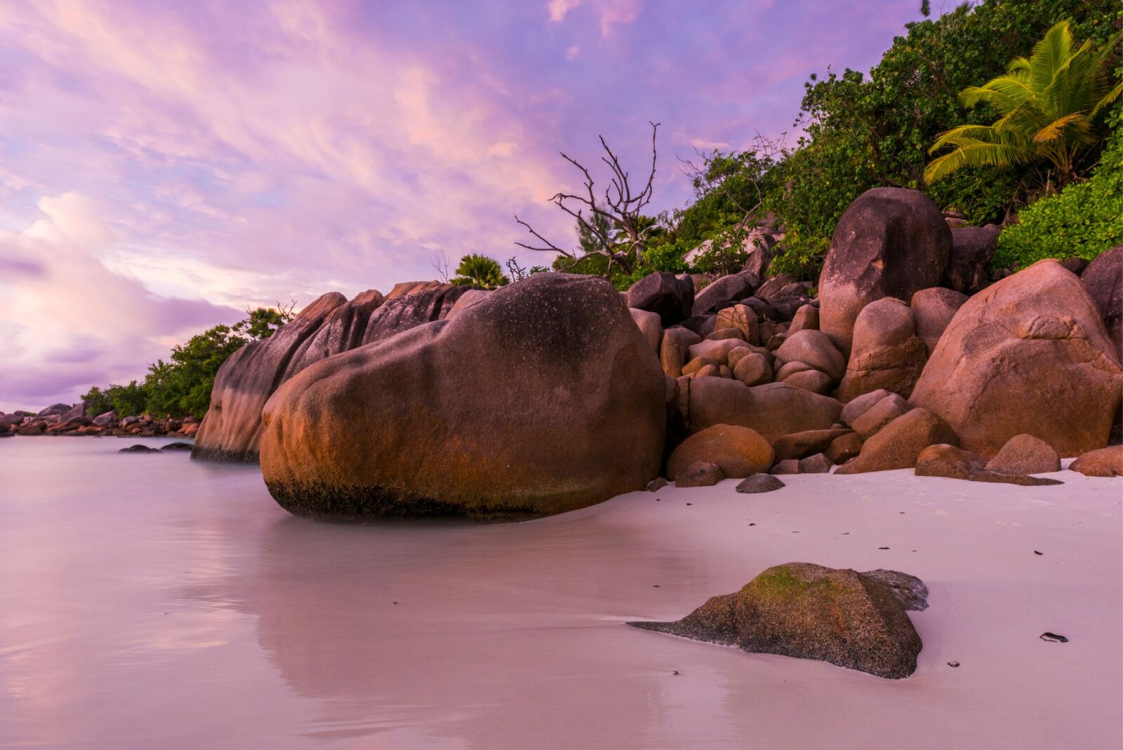 seychelles pink sand beaches