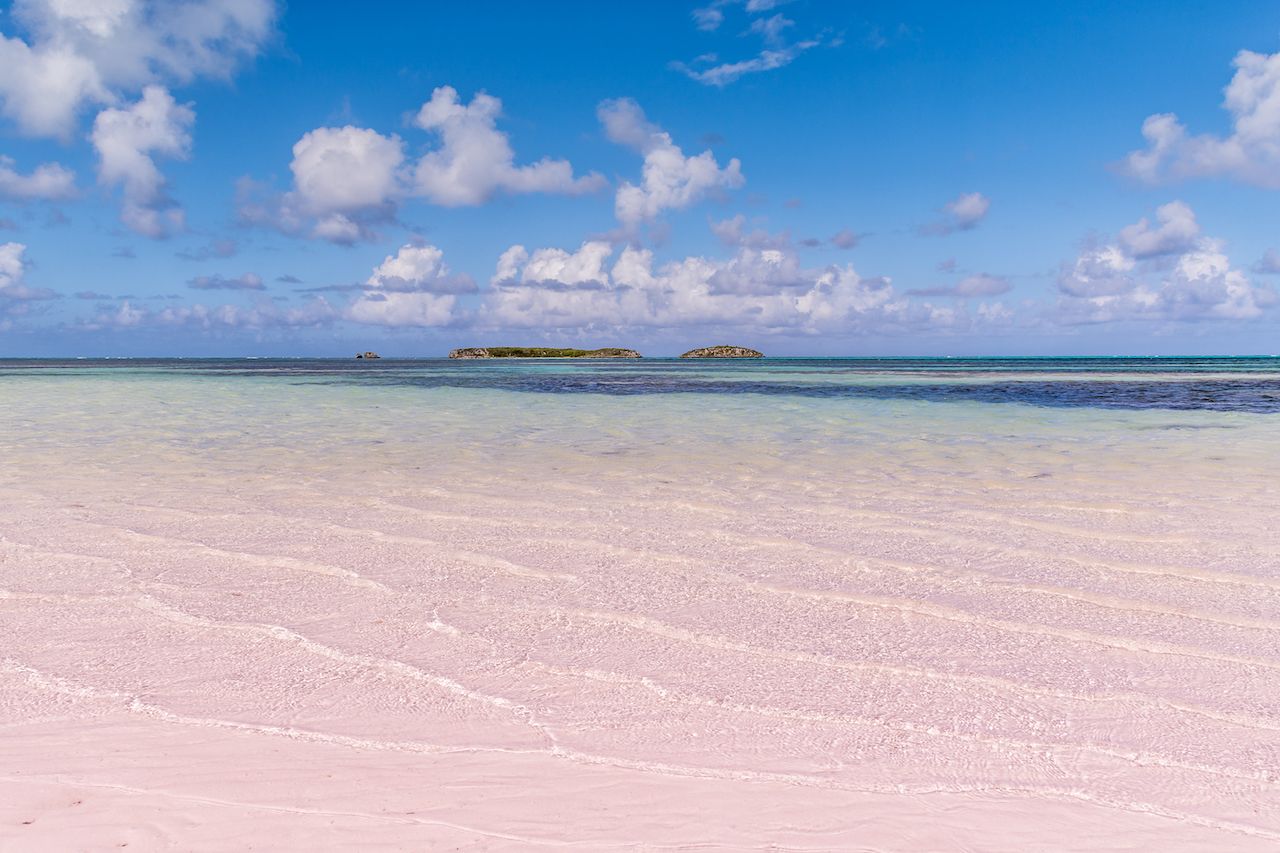 pink sand beach in the bahamas 