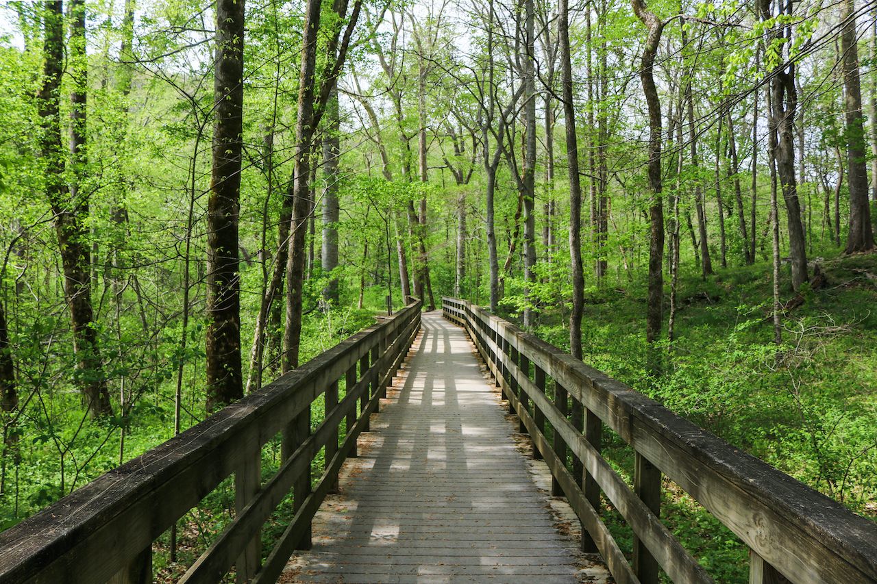 Mammoth Cave