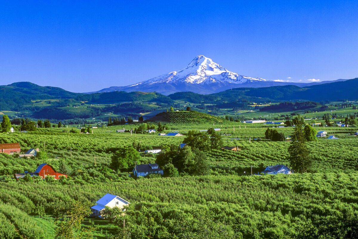 Why Every Cider Lover Should Plan A Visit To Oregon s Hood River Valley Why Every Cider Lover Should Plan A Visit To Oregon s Hood River Valley