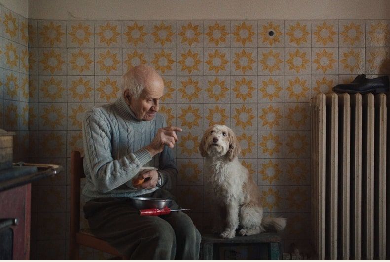 The Truffle Hunters Movie Trailer