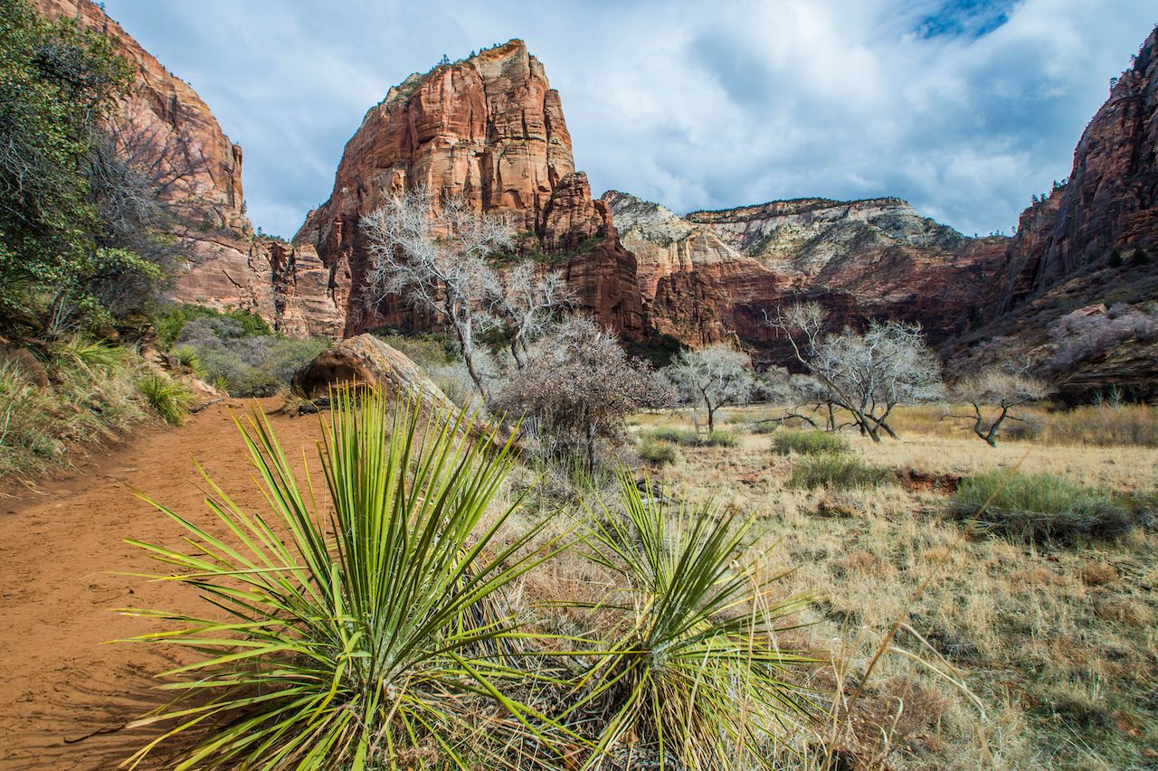 Zion national park