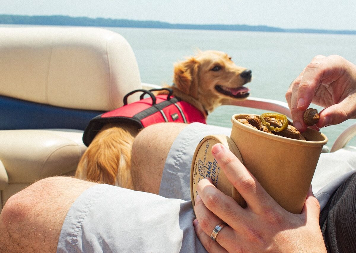 The Best Boiled Peanuts In Alabama
