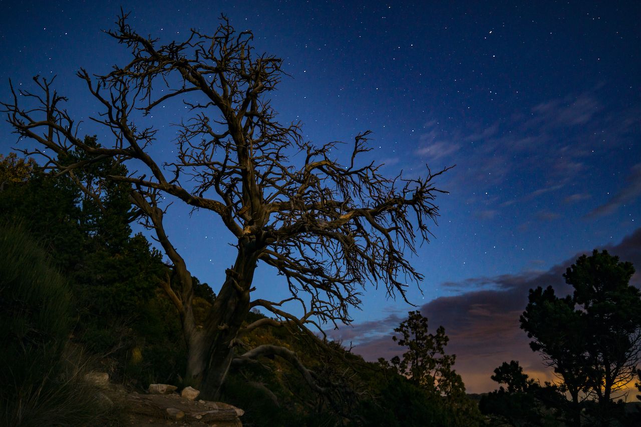 Mesa Verde National Park stargazing