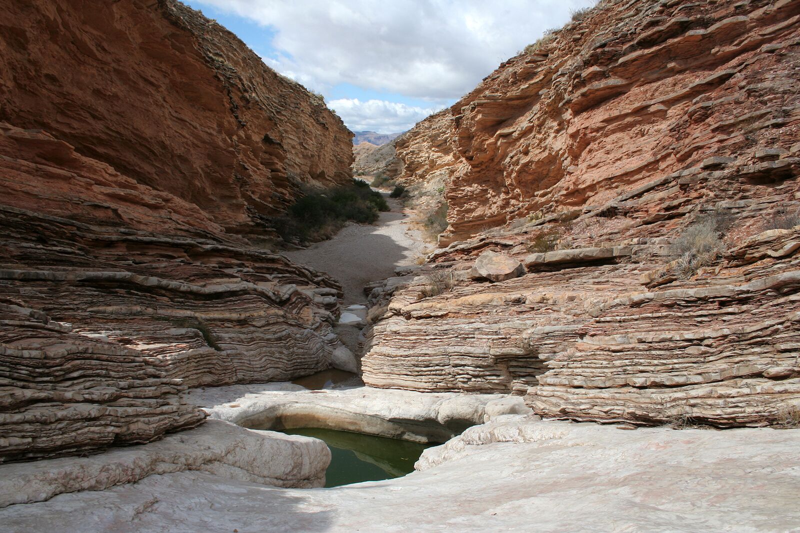 Big Bend National Park swimming hole
