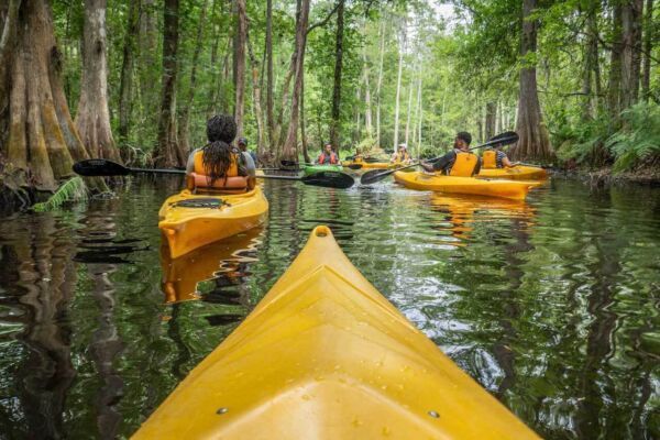 Best Outdoor Activities in Central Florida