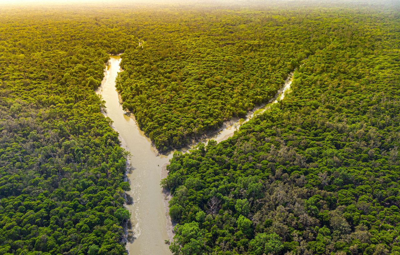 At-risk-natural-wonders-Sundarbans-Mangrove-Forest-1713408154, At-risk natural wonders
