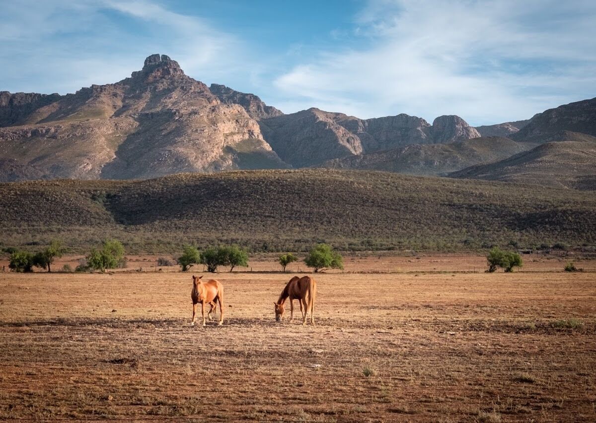 A Photo Tour Through South Africa’s Incredible Klein Karoo Desert