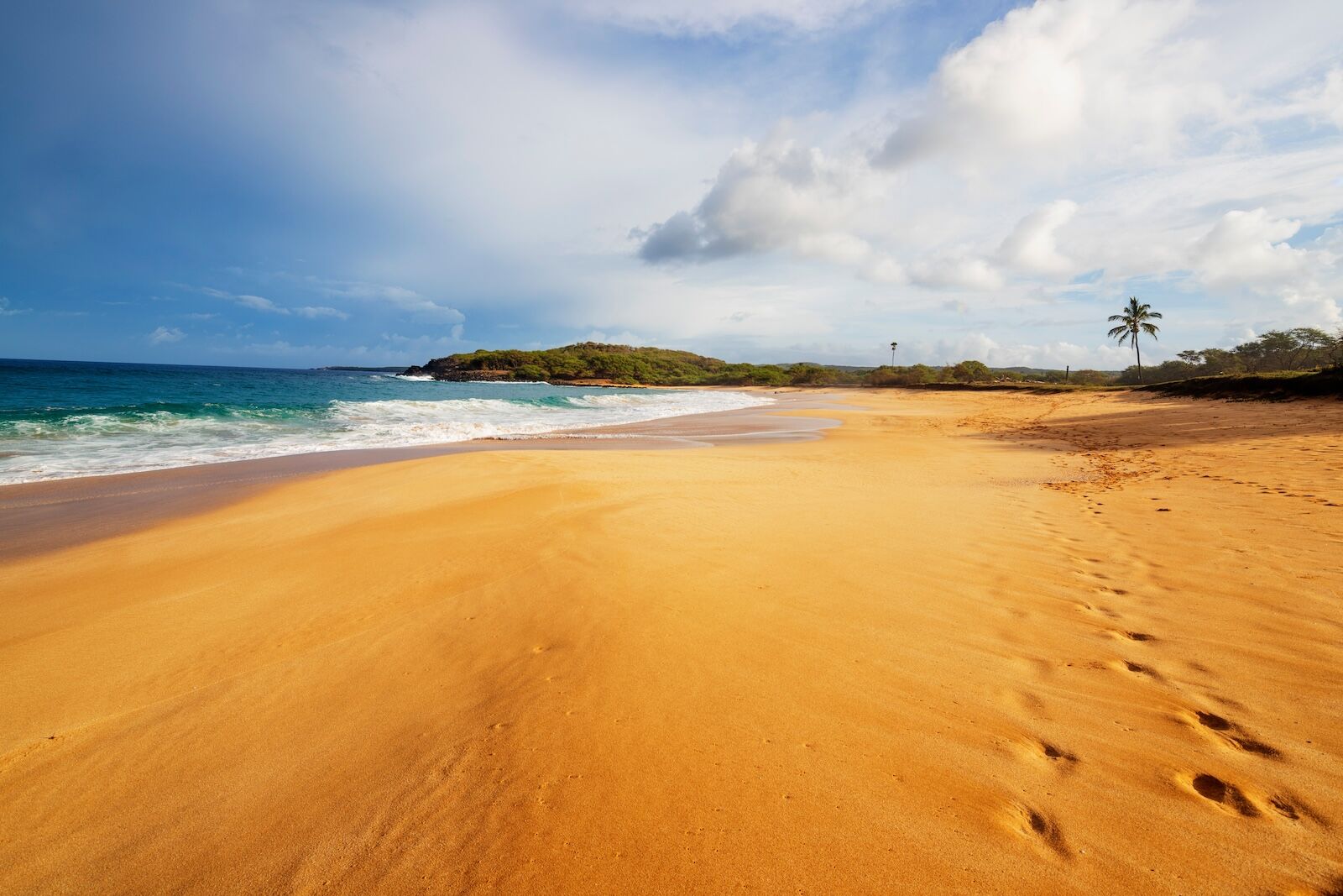 papohaku beach in hawaii
