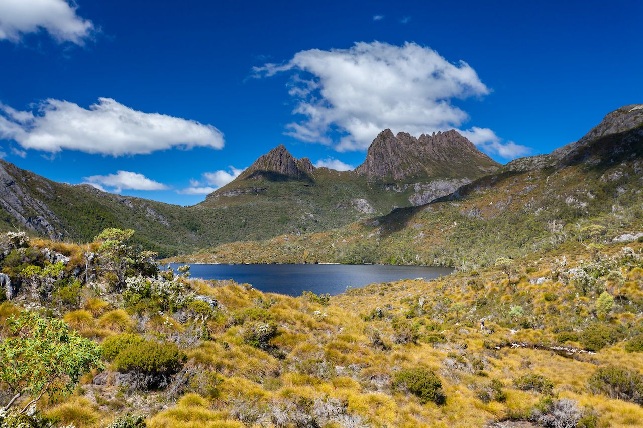 Cradle,Mountain,And,Dove,Lake,Tasmania,In,Cradle,Mountain,Lake, Things to do in Tasmania