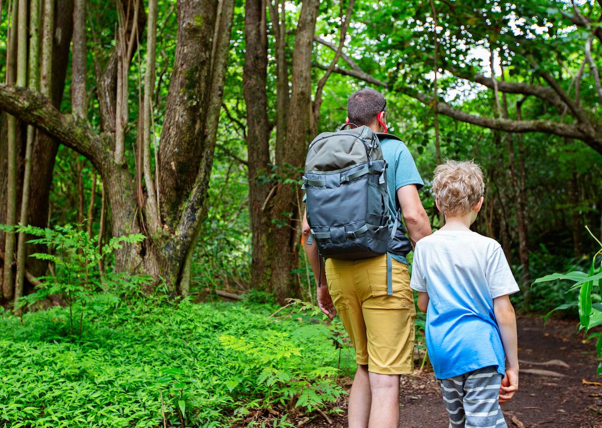 the-best-kid-friendly-hikes-on-oahu-for-the-whole-family