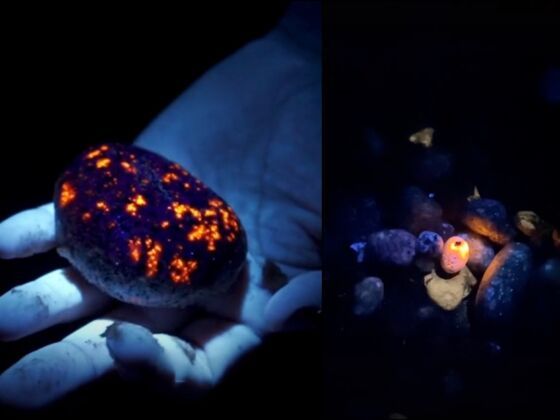 Rocks That Glow Under UV Light Can Be Found On The Great Lakes' Shores