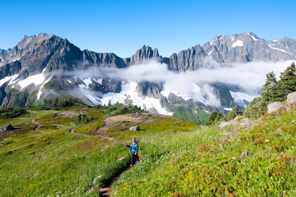 jcpenney jojo backpack