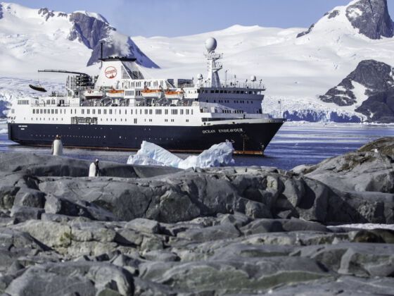intrepid travel win a trip to antarctica