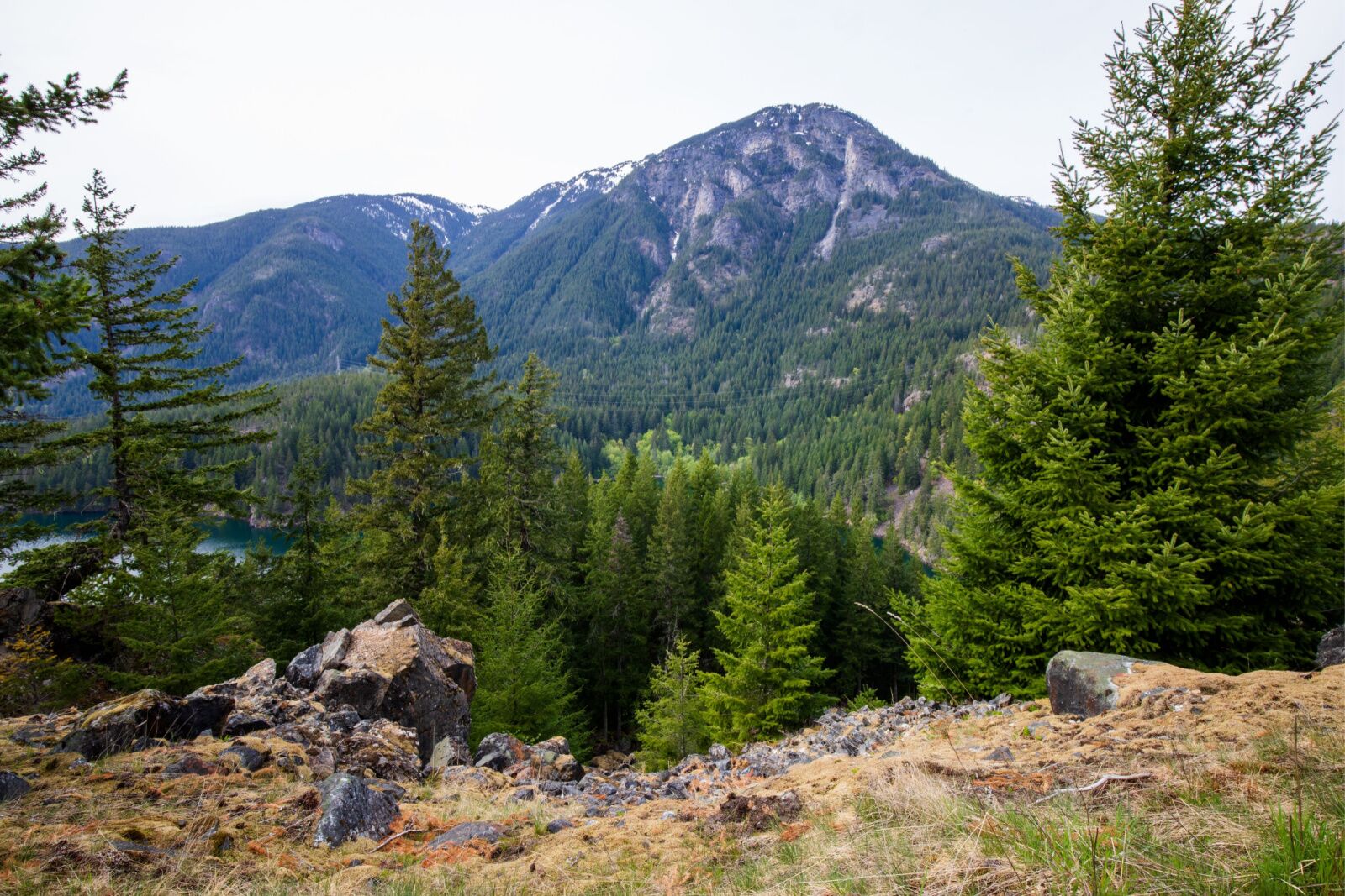 The view from the top of the longer Ross Dam trail in North Cascades National Park