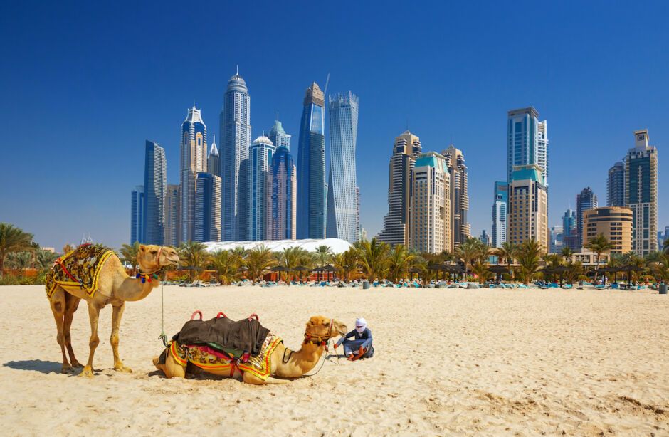 The,Camels,On,Jumeirah,Beach,And,Skyscrapers,In,The,Backround, week in Dubai