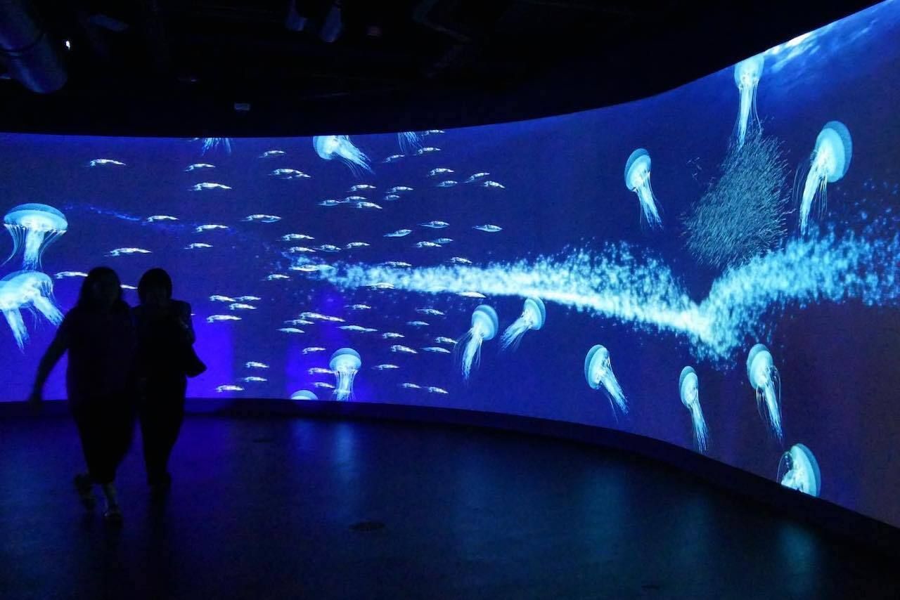 Virtual Gulf Stream exhibit at the Frost Museum