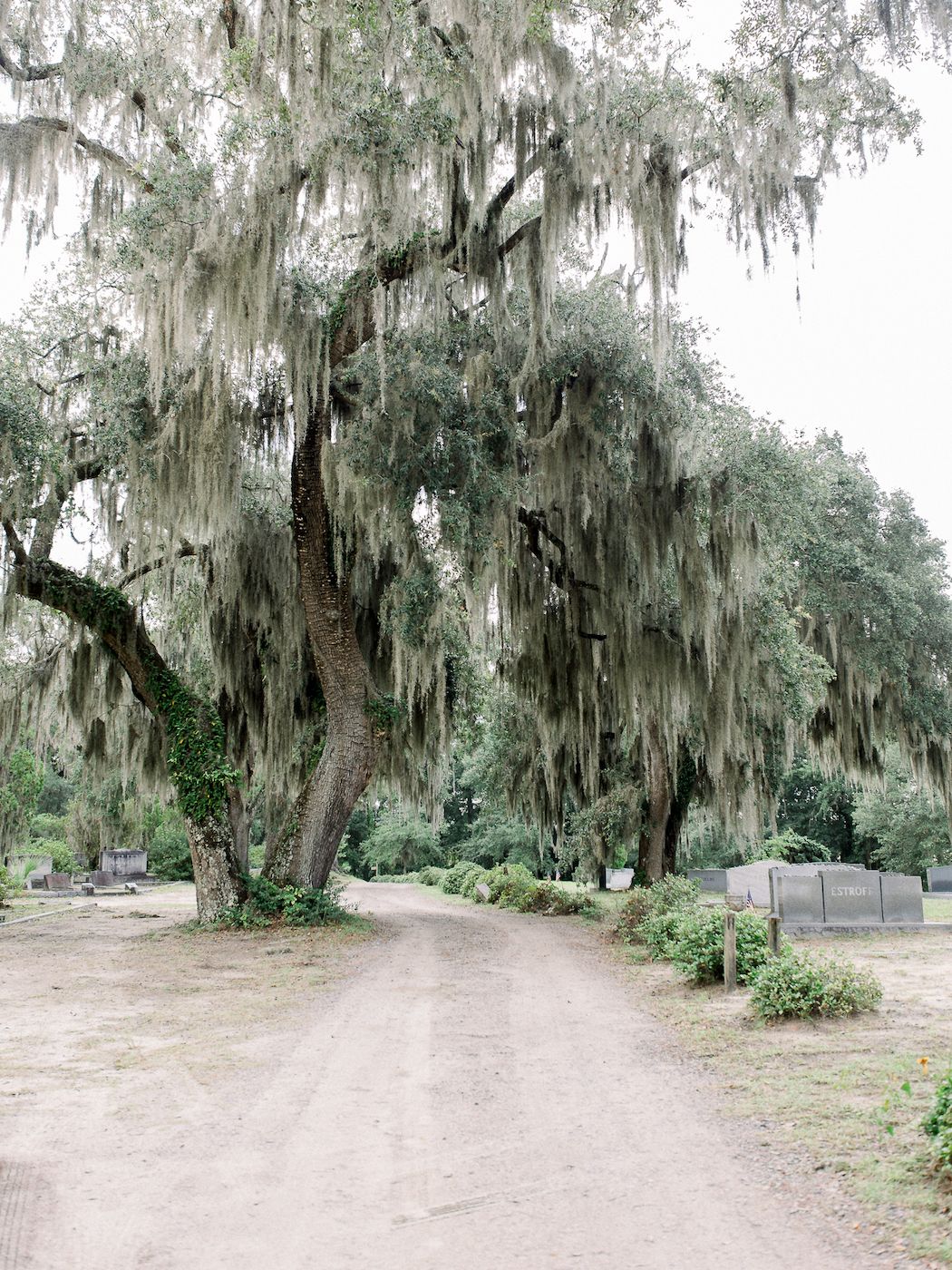 Historic Sites Savannah Bonaventure Cemetery