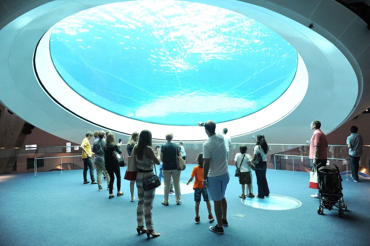 people looking through the Oculus, a 31-foot circular window at the bottom of the Gulf Stream Aquarium at the Frost Museum