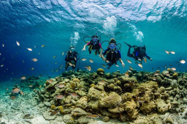 Bonaire Has Some Of The Best Diving In The Caribbean. Here's Where To Go.