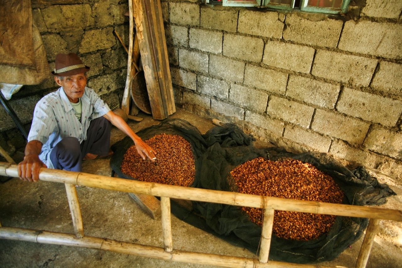 dried kapeng barako coffee beans philippines