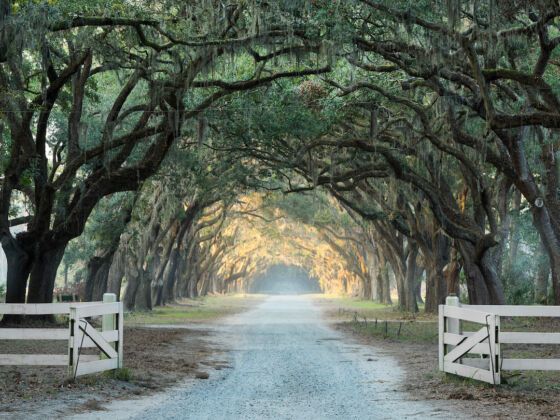 important-historic-sites-in-savannah-you-need-to-visit