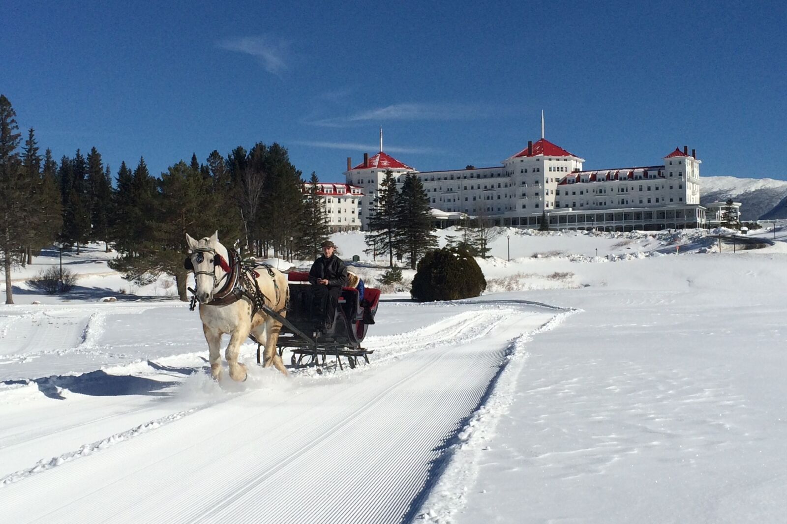 Horse and carriage at Omni Mount Washington Resort