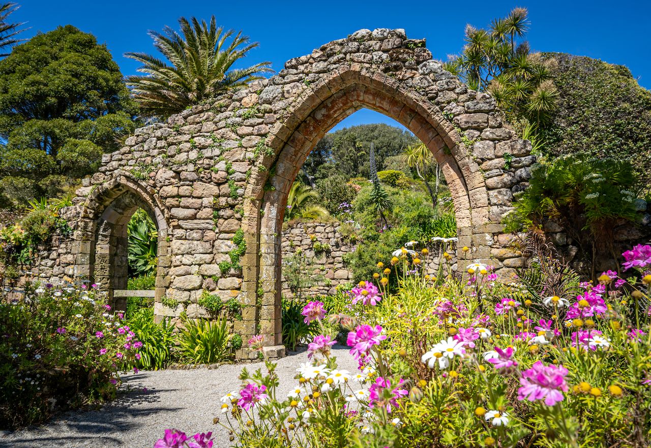 Pink and white flowers fill a corner of this image, framing the two ruined arches of the old Abbey on Tresco, Isles of Scilly. Tropical palm trees and other lush plants surround the ruins.
