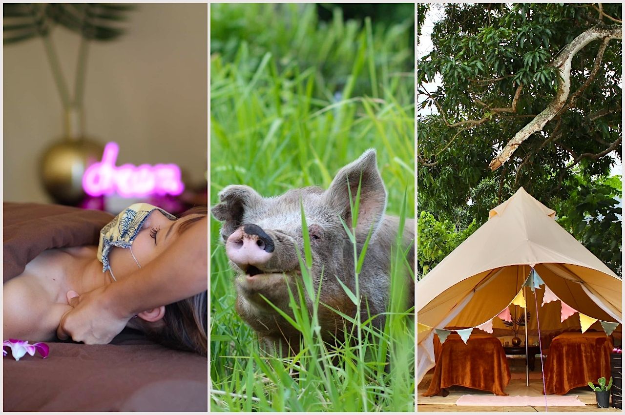 Airbnb massage experience at an animal sanctuary in Kaneohe, Oʻahu, Hawaii