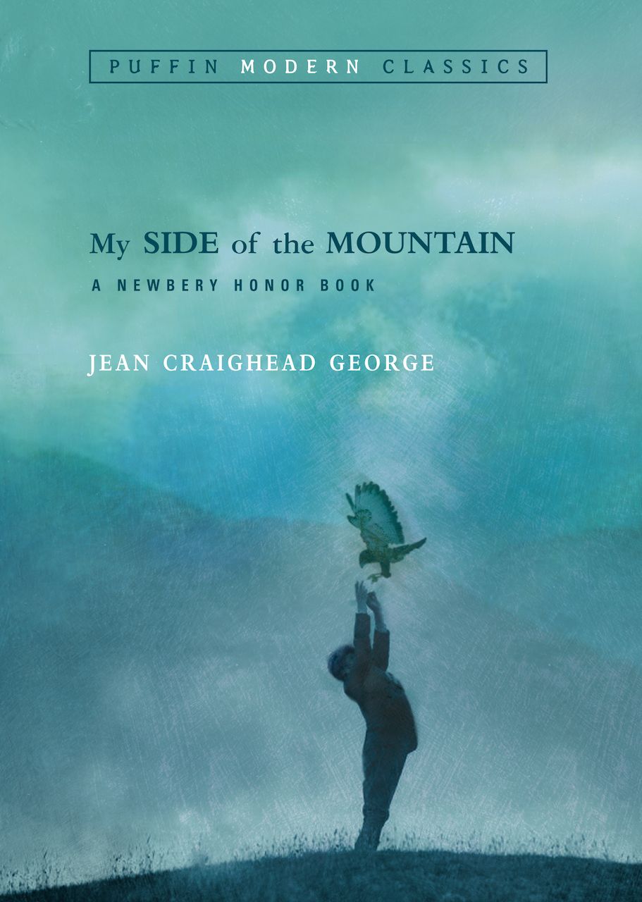 My Side of the Mountain book