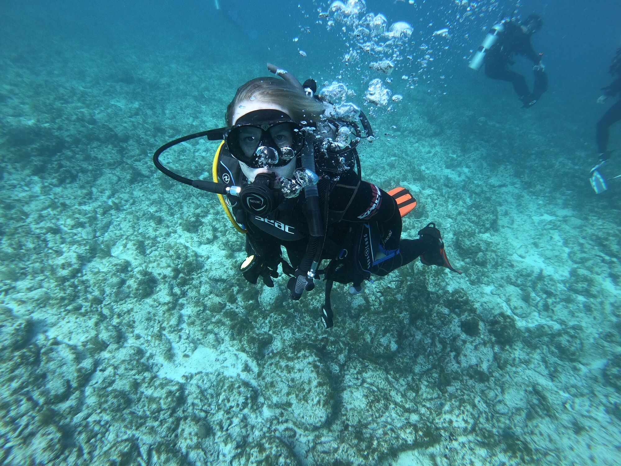 Female scuba diver in the florida keys diving on a florida van life vacation