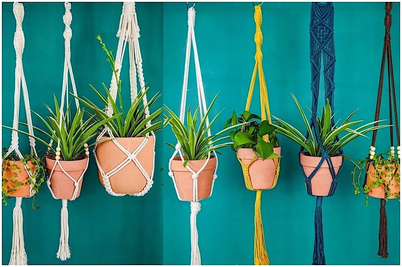 Colorful plant holders an ideal gift for home 