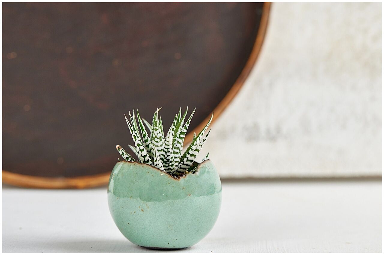 Green rustic plant pot from Etsy 