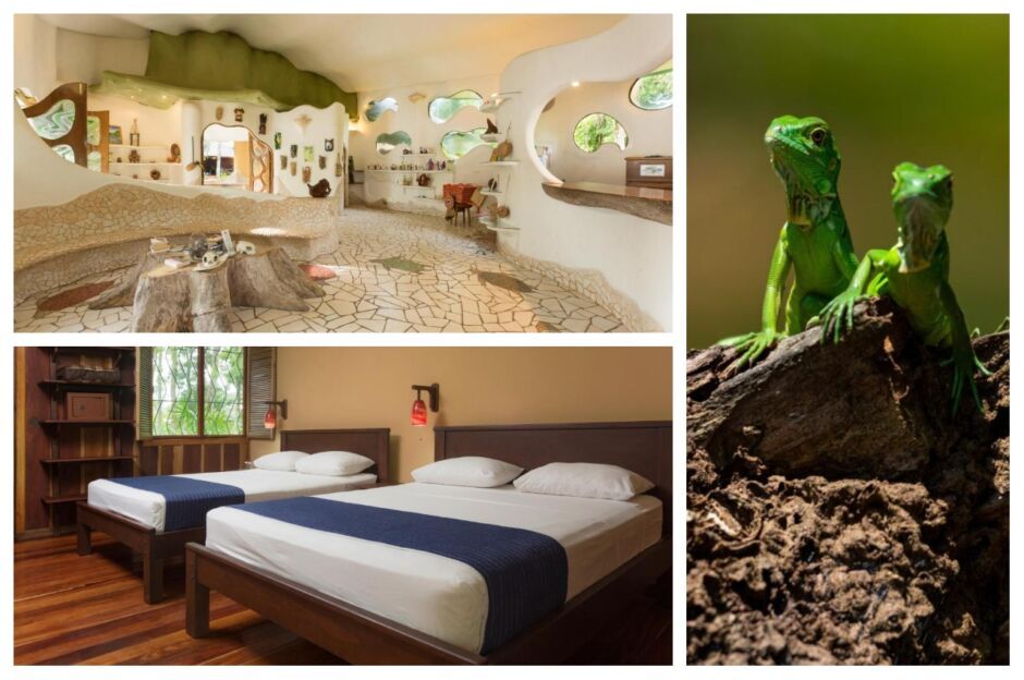 collage of laguna lodge one of the most beautiful costa rica wildlife lodges