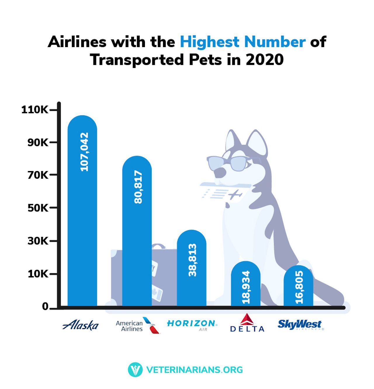 airlines with highest number of pets transported